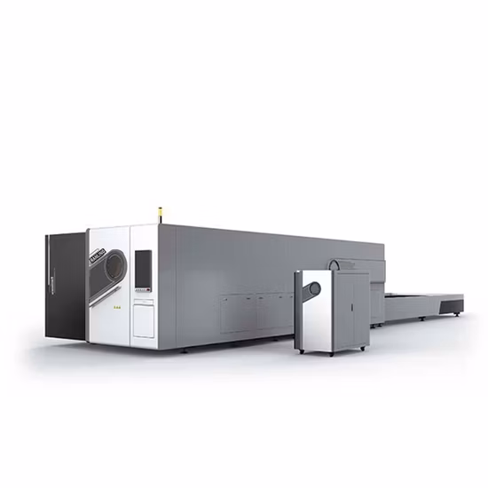OEM/ODM Produttore cinese Taglio di lamiere CNC con armadio elettrico separato 3015 4020 6020 Macchina da taglio laser a fibra Ipg/Raycus/Max per piastre